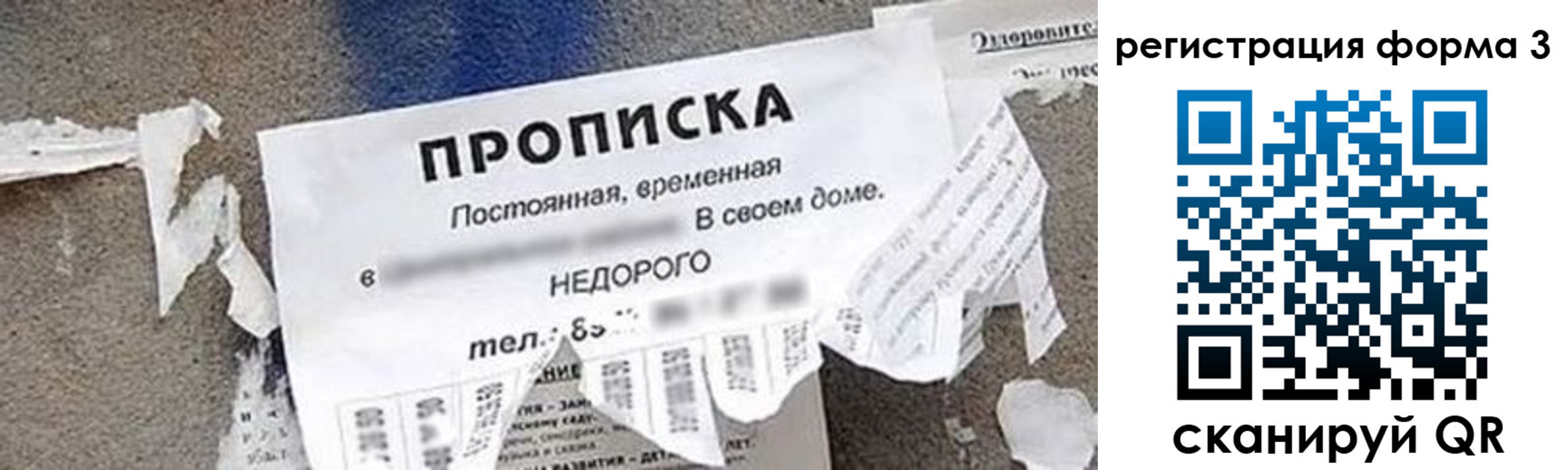 прописка 2025 в Павлово